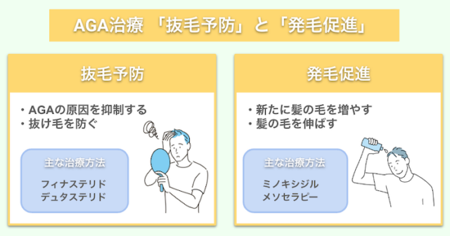 AGA治療には抜毛予防と発毛促進の2種類がある